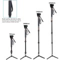 Cayer Monopod with Video Head and tripod feet (FP34DVH4)