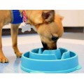 Killer Deals Healthier Pet Nutrition Fun Interactive Slow Feeder Dog Bowl (Small)