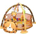 Activity Gym with Ball Pit