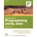 Fundamentals of Programming using Java (Paperback, International Edition)