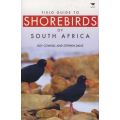 Field guide to shorebirds of South Africa (Paperback)