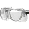 Fragram Clear Safety Goggles