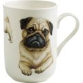 Maxwell & Williams Cashmere Pets Dog Pug Mug (300ml)