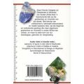 Sasol Eerste Veldgids tot Gesteentes & Minerale van Suider-Afrika (Afrikaans, Paperback)