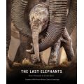 The Last Elephants (Paperback, Flexibound)