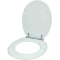 Wildberry Removeable Soft Closing Toilet Seat (White)
