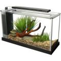 Fluval SPEC 4 - 19L Glass Aquarium Kit (Black)