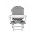 Adjustable Bebelie Feeding Chair - Gray