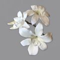 FMM Cutter Extra Exotic & Bridal Lily Lilies Flower Former Set Sugarcraft Icing