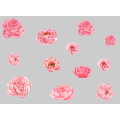 Peony Flowers - Self Adhesive  Wall Vinyl Stickers - Peel and Stick Vinyl Decal - Pack of 12 flowers