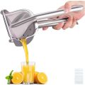 Fruit Juicer Press