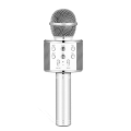 Everlotus Wireless Karaoke Microphone