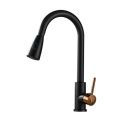 Jack Brown Stainless Steel Kitchen Pull Out Faucet - Black Rose