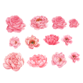 Peony Flowers - Self Adhesive  Wall Vinyl Stickers - Peel and Stick Vinyl Decal - Pack of 12 flowers