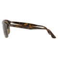 Ray-Ban RB 4342 710/73 59 Havana Sunglasses