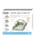 3 in 1 Grow With Me Activity Play Gym & Ball Pit