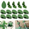20 Piece Of Plant Clips