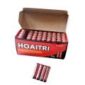 Hoaitri AAA Batteries Heavy Duty- 40 Piece Bulk Pack