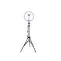 10" LED Changing Colour Ring Light with Stand (DISPLAY MODEL)