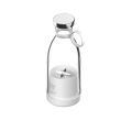 Portable Mini Juice Blender silver/white