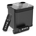 YS-203 Portable Mini Wireless Bluetooth Speaker With 2 Karaoke Microphone