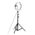 12 Inch Ring Light with 210Cm Tripod
