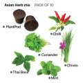 Asian Herb Mix -Plant Pod - Pack of 10