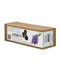 Lavender Tea - Plant Pod - Pack of 3