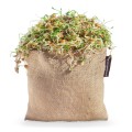 Sprout Bag-Re-Usable