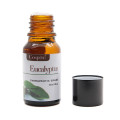 Aromatherapy Essential Oils - Set of 6