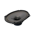Blackspider MFN691SE 6x9 Trade Speaker