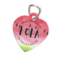 Personalised Pet ID Tag-Tutti Frutti Colors Watermelon