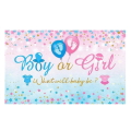 Party Table &amp; Photography Backdrop - Gender Reveal