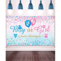 Party Table &amp; Photography Backdrop - Gender Reveal