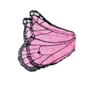 Large Butterfly Wings - Pink