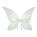 Iridescent Fairy Butterfly Wings