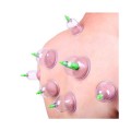 6 Pcs Chinese Body Cupping Massage Suction Therapy