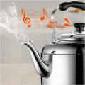 4L Steel Kettle with Sound