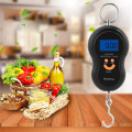 50kg Portable Electronic Scale
