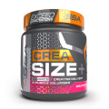 SSA Supplements Crea Size (550g)