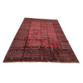 Red Afghan Carpet 336x245cm