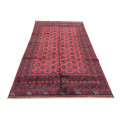 Stunning Bukhara Afghan Carpet 288 x 196 CM