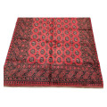 Stunning Afghan Bukhara design Carpet 287 x 197 CM