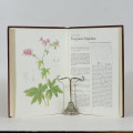 Pelargoniums of Southern Africa. Vol 2 - Van der Walt, J J A & Vorster, P J