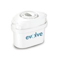Aqua Optima Evolve 30 Day Filters - EVS101 - Pack of 1