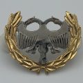 SAAF Protection Bi-Metal Breast Badge