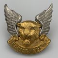Transkei Special Forces Bi-Metal Cap Badge