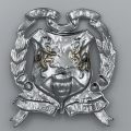 Pretoria Highlanders Chrome Tam O'Shanters Badge