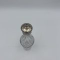 Sterling Silver Confectionery Shaker