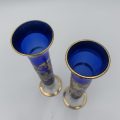 Set of 2 Blue Vases